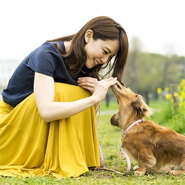 仲人からの紹介