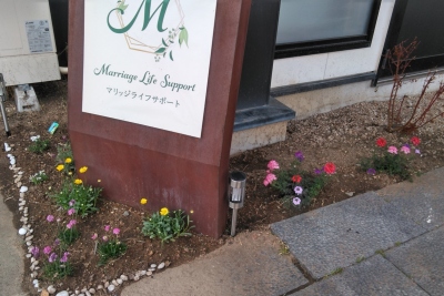 癒しのお花たち